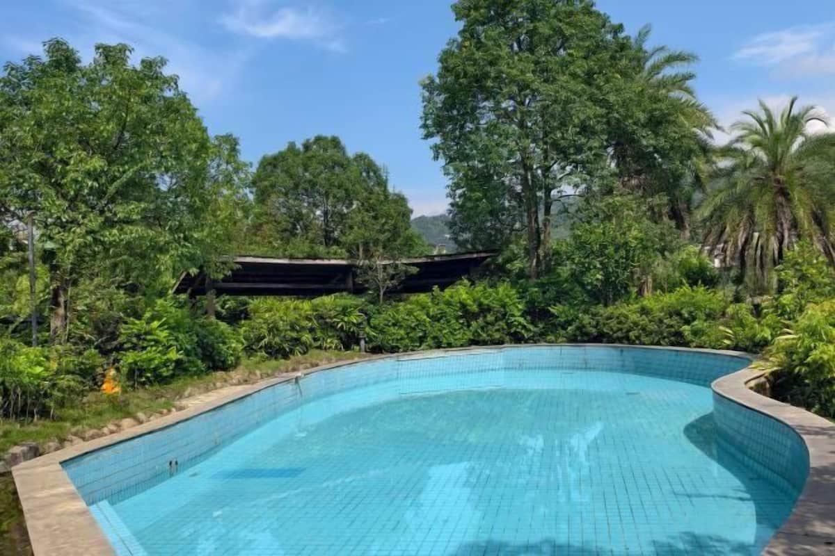 Una piscina rodeada de exuberante vegetación y árboles.
