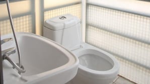 Une salle de bain avec un lavabo et des toilettes blancs, une pomme de douche et un sol carrelé.