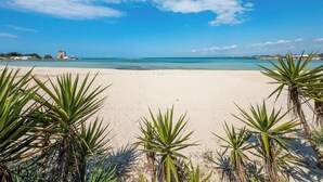 Une plage avec une eau d’un bleu limpide, un rivage sablonneux et quelques palmiers au premier plan.