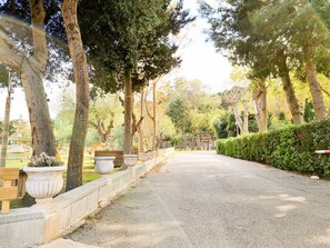 Bungalow | Blick von der Unterkunft