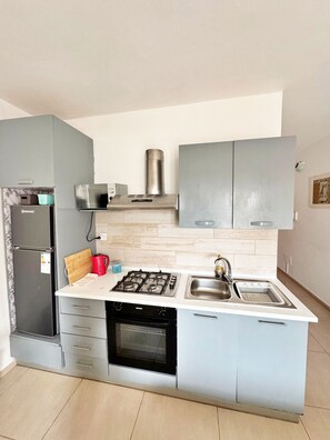 Basic Studio | Private kitchen | Full-size fridge, microwave, oven, stovetop