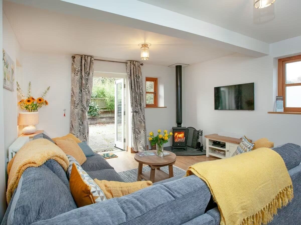 TV connectée, lecteur de DVD, livres, vidéothèque