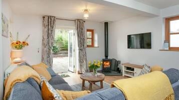 TV connectée, lecteur de DVD, livres, vidéothèque