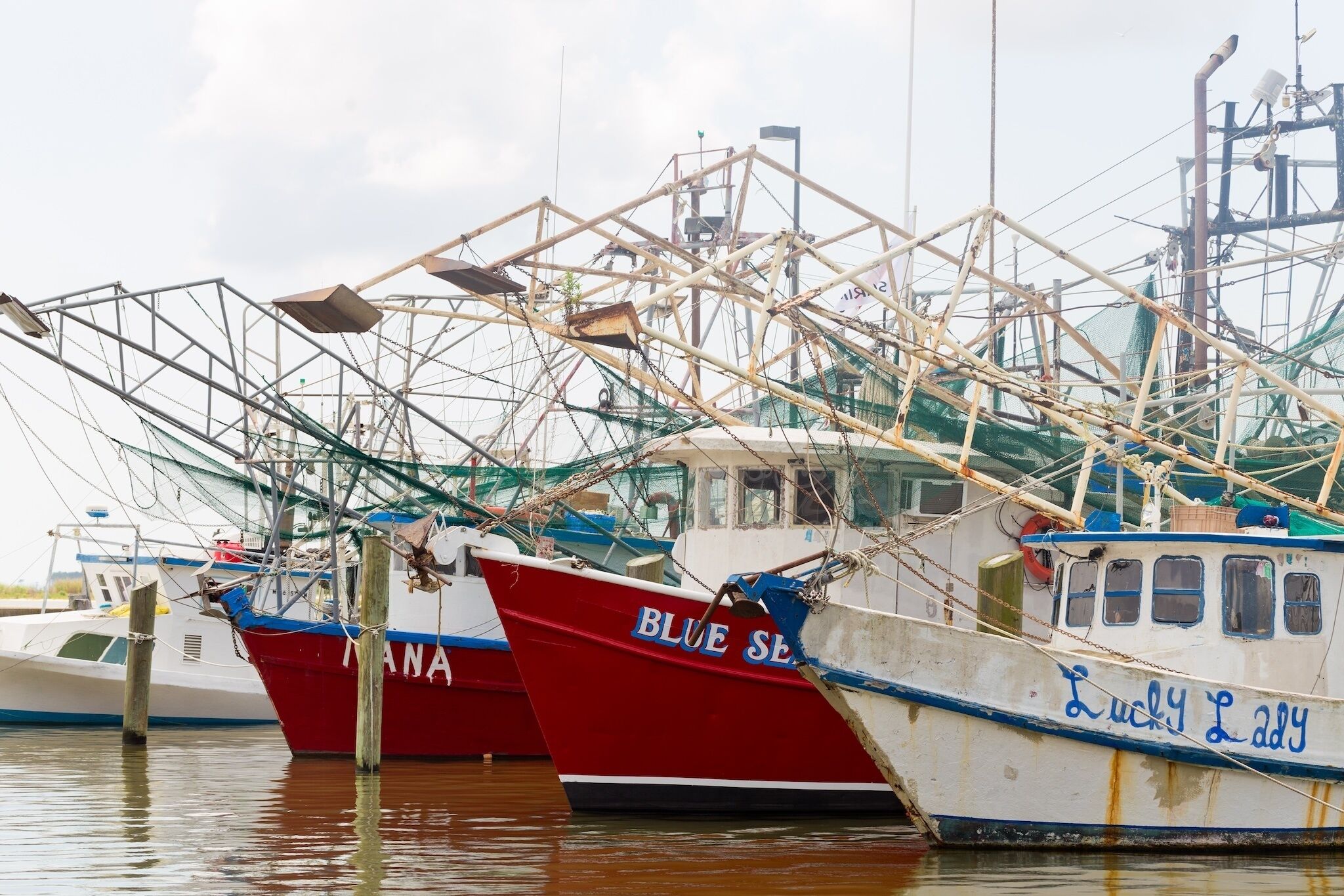 Ein Hafen mit mehreren dort vertäuten Fischerbooten, darunter die Namen "BLUE SEA" und "Lucky Lady".