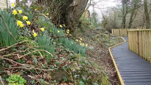 A wooden boardwalk alongside a natural area with yellow flowers and green foliage. - Peaceful Cottage in Sound Healing Retreat (Cardigan)