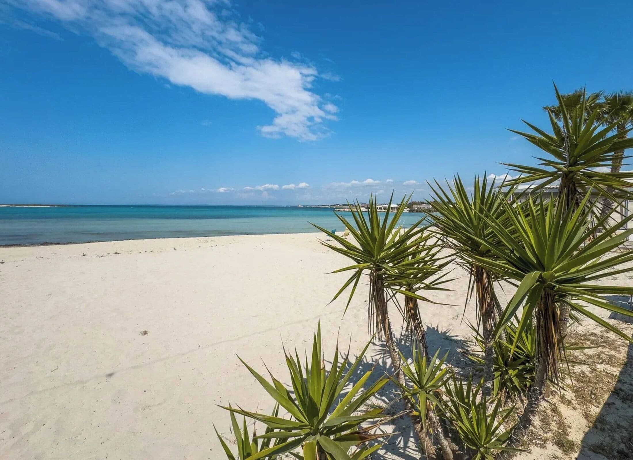 Une plage de sable blanc bordée d’une eau turquoise et cristalline. On aperçoit des palmiers au premier plan.