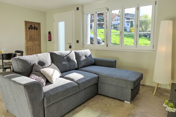 Möbel, Couch, Interior Design, Fussboden, Flooring, Wohnung, Zuhause, Wohnzimmer, Zimmer