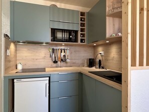 Kühlschrank, Mikrowelle, Herdplatte, Geschirrspüler