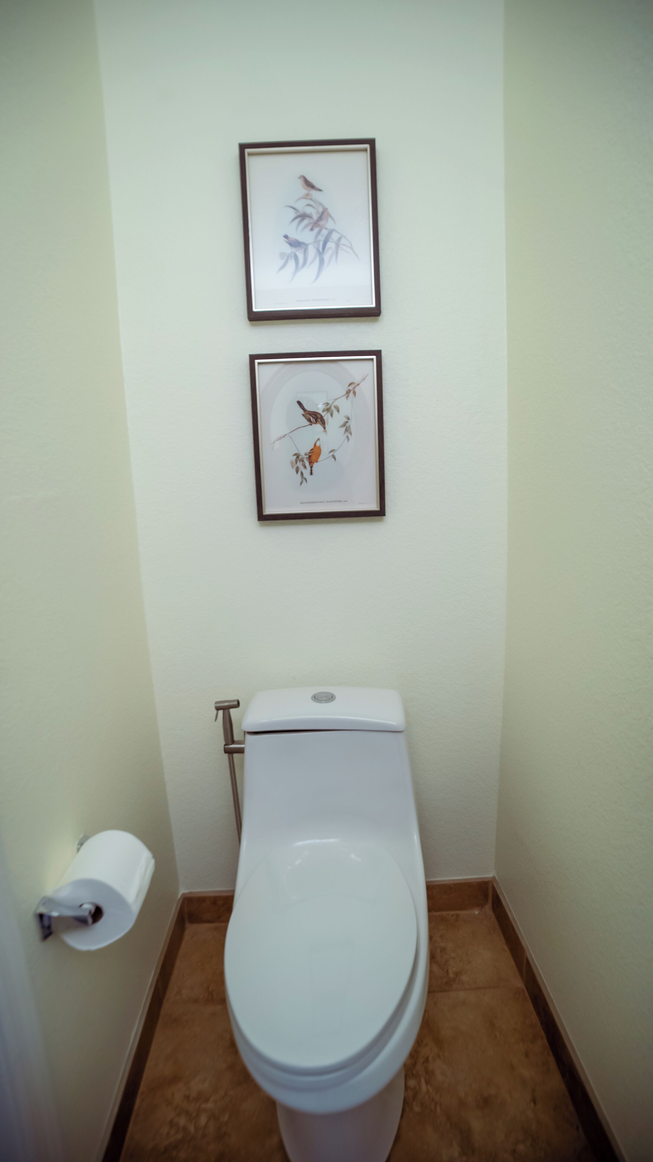 A bathroom with a toilet, two framed botanical prints on the wall, and a toilet paper holder.