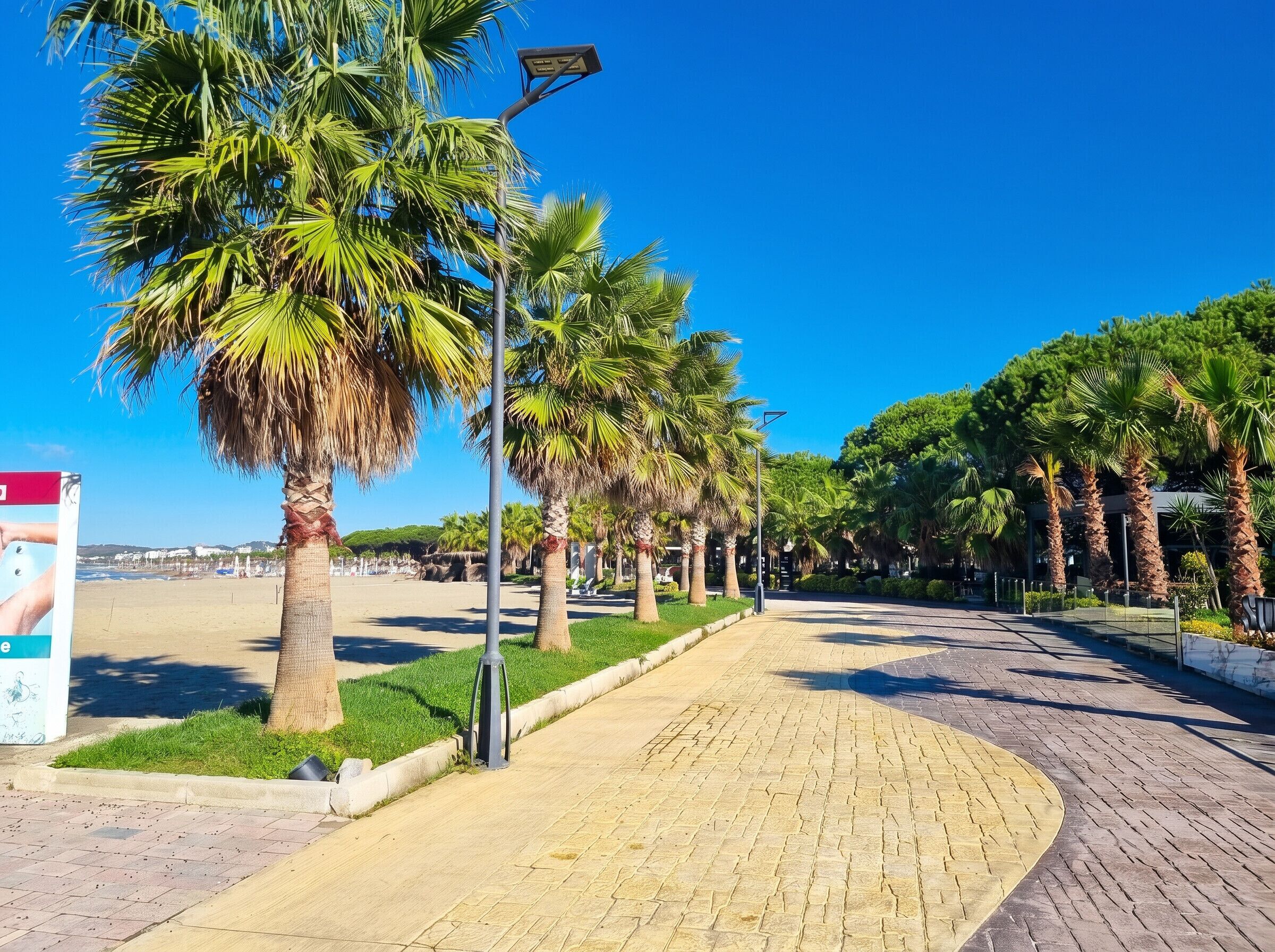 Ein gepflasterter Weg gesäumt von Palmen, ein klarer, blauer Himmel und ein Strand im Hintergrund.