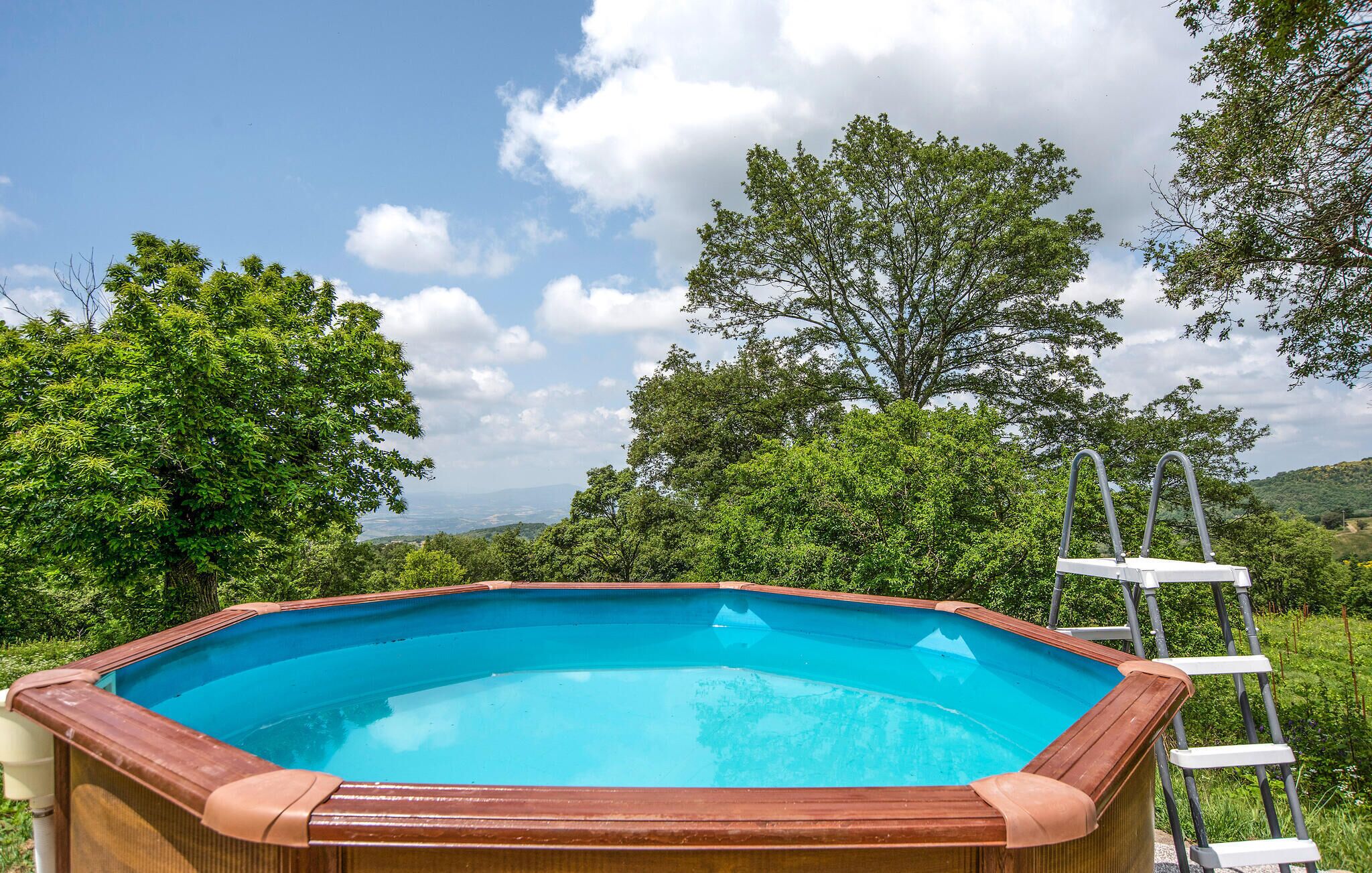 Ein rechteckiger Pool mit Holzrand, umgeben von üppiger Vegetation und Bäumen.