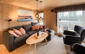 TV connectée, cheminée