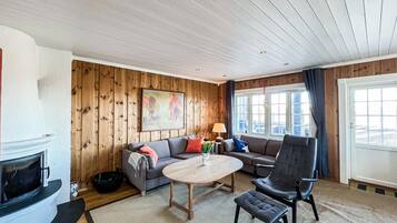 Una televisión, una chimenea