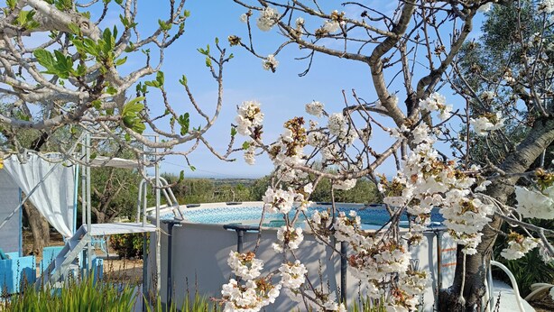 A pool area with a view of the landscape, surrounded by greenery and flowering trees. - Romantic Trullo for 2  sea view pool,peaceful garden rustic  authentic Puglia (Carovigno)