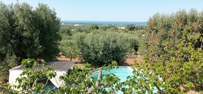 Outdoor pool - Romantic Trullo for 2 sea view pool Wifi, wonderful peaceful garden (Carovigno)