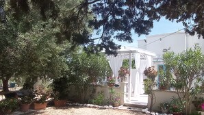 A covered outdoor area with potted plants and a white structure. - Romantic Trullo for 2  sea view pool,peaceful garden rustic  authentic Puglia (Carovigno)