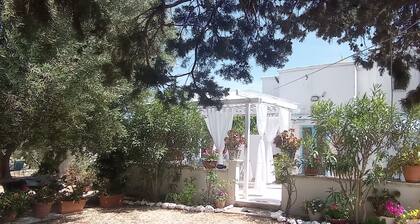 Romantic Trullo for 2 sea view pool,peaceful garden rustic authentic Puglia