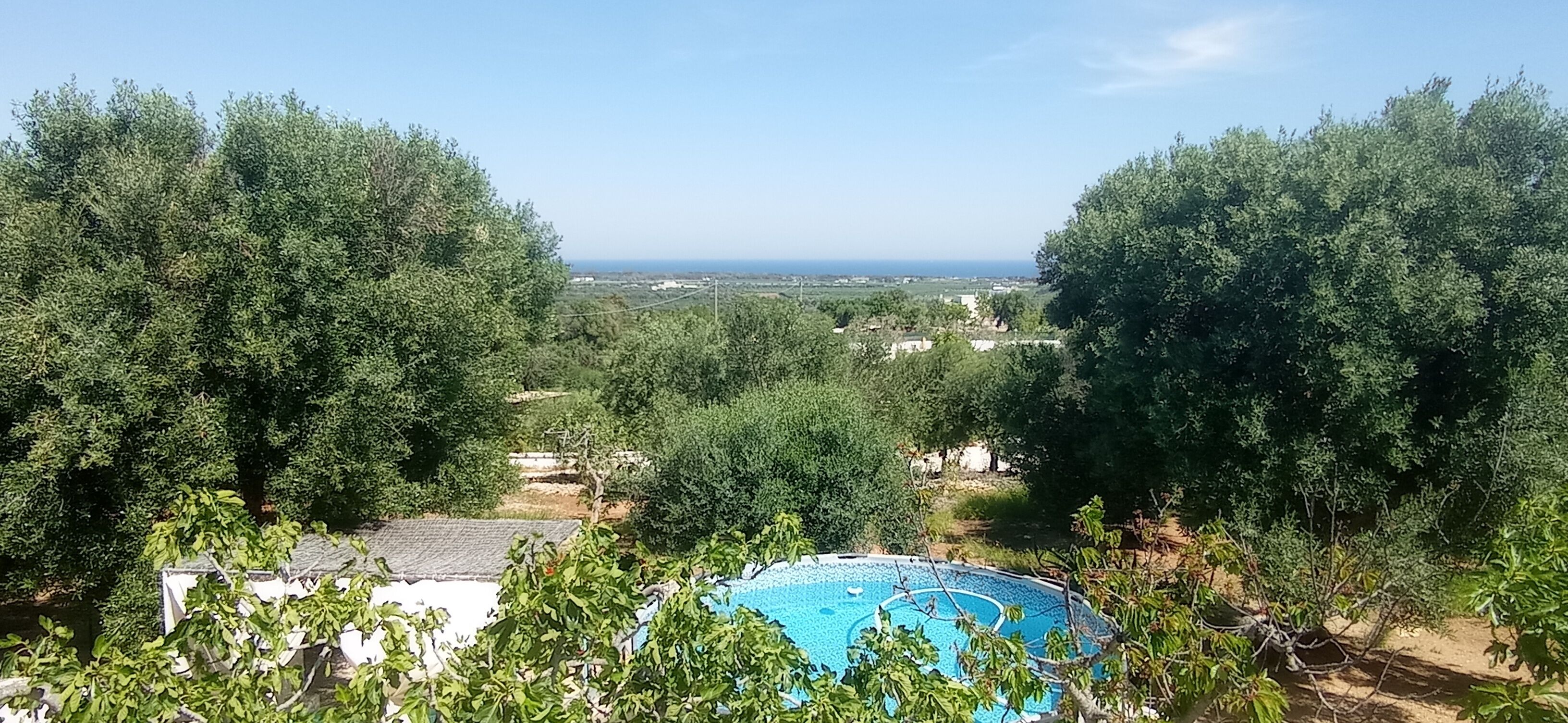 A swimming pool surrounded by lush trees, with a view of the ocean and distant buildings.
