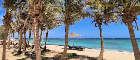 Privatstrand, weißer Sandstrand, Liegestühle, Massagen am Strand