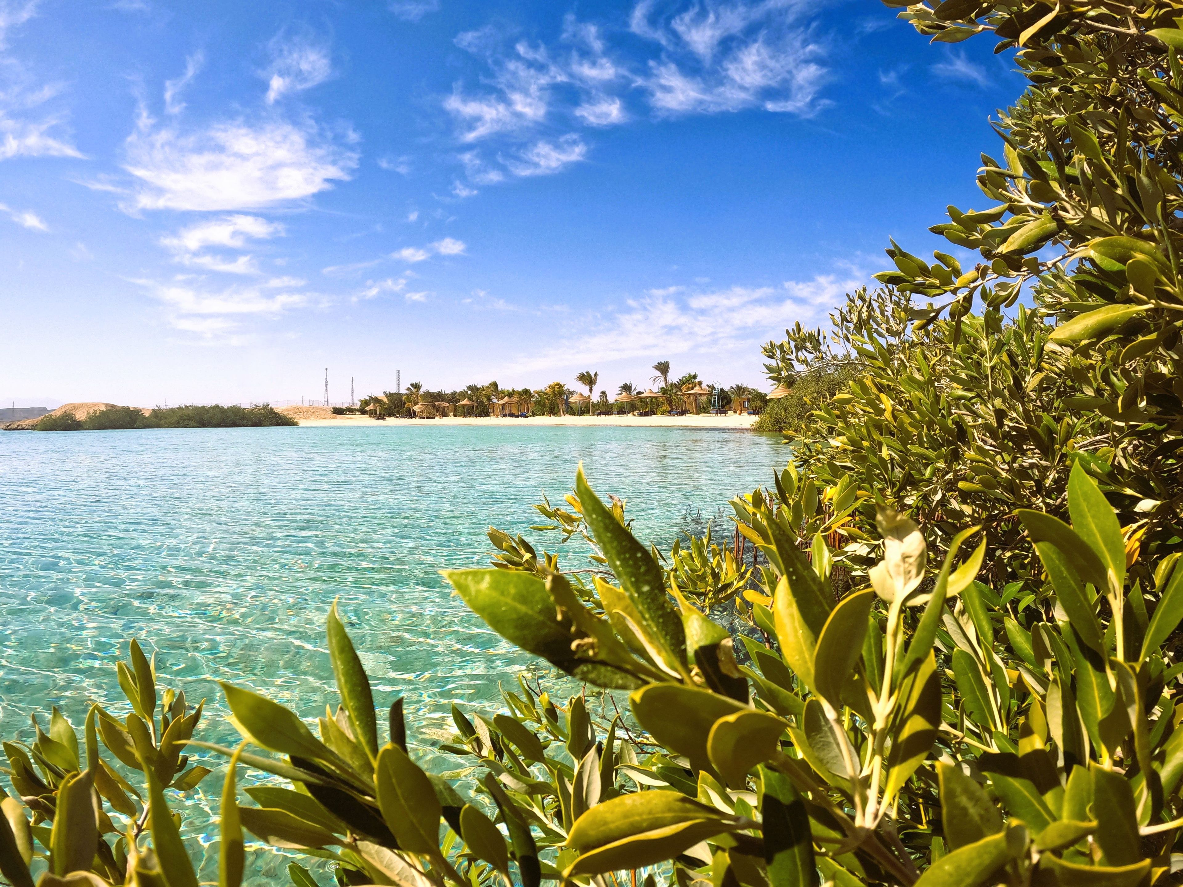 A beach with clear turquoise water, palm trees, and a distant shoreline with buildings.