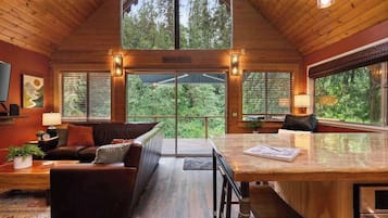 Télévision, cheminée, espaces bureaux