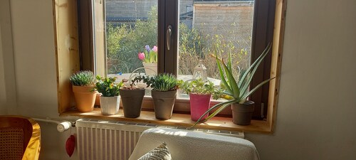 Charmante maison de ville, au calme, rénovée écologiquement  avec un  jardinet 