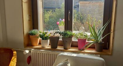 Charming, quiet, ecologically renovated town house with small garden