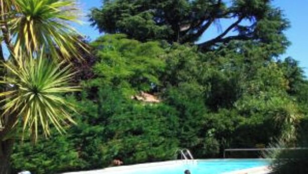 A pool surrounded by lush greenery and trees.