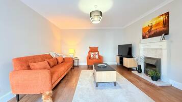 Smart TV, fireplace, books