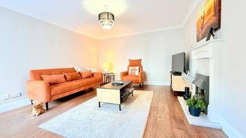 Smart TV, fireplace, books