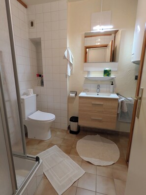 Shower, hair dryer, towels, toilet paper - Charming studio in the heart of the village: spacious, quiet and with a view (Saint-Gervais-les-Bains)