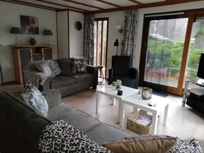 TV, books - Lovely vacation home on beautiful park (Diever)