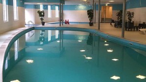 An indoor swimming pool with clear water, surrounded by walls with windows and potted plants. - Lovely vacation home on beautiful park (Diever)
