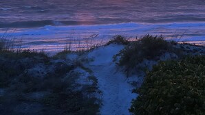 A sunset over the ocean with a sandy beach and vegetation in the foreground.
