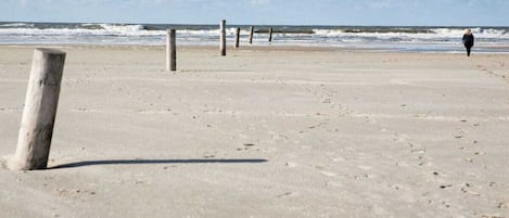 Ferienhaus | Strand