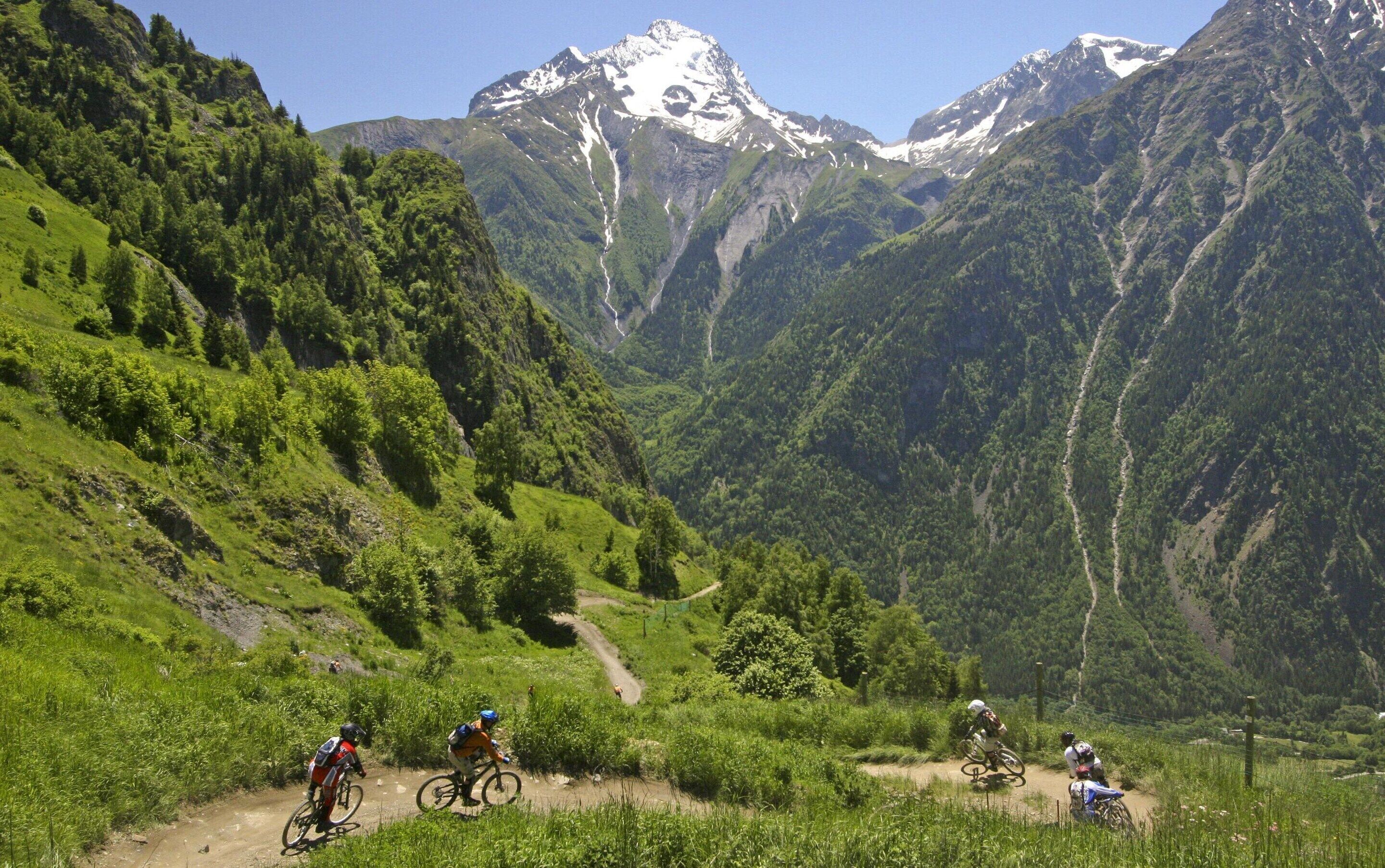 Sendero de bicicleta de montaña con colinas verdes exuberantes y picos nevados al fondo.