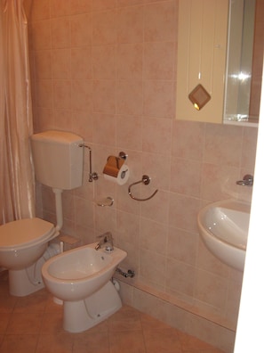 Regadera, secadora de cabello, bidet, toallas