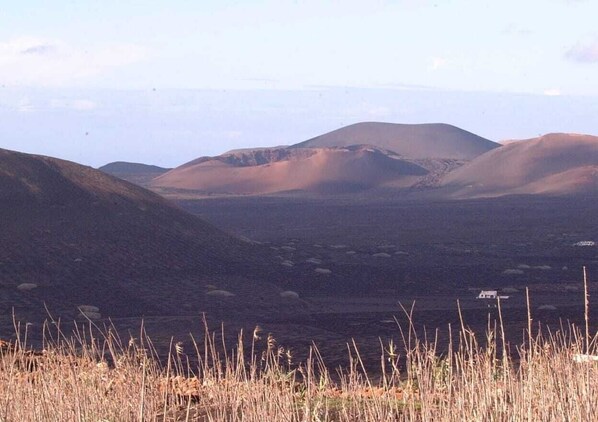 Paisaje desértico con colinas onduladas y vegetación escasa.
