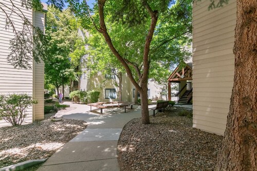 DTC Studio w/ Kitchenette, Fast WiFi,Free Parking!