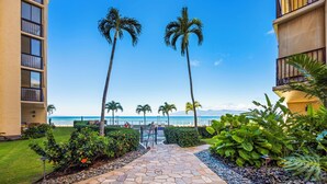 A pathway leading to a beach with palm trees and a view of the ocean.