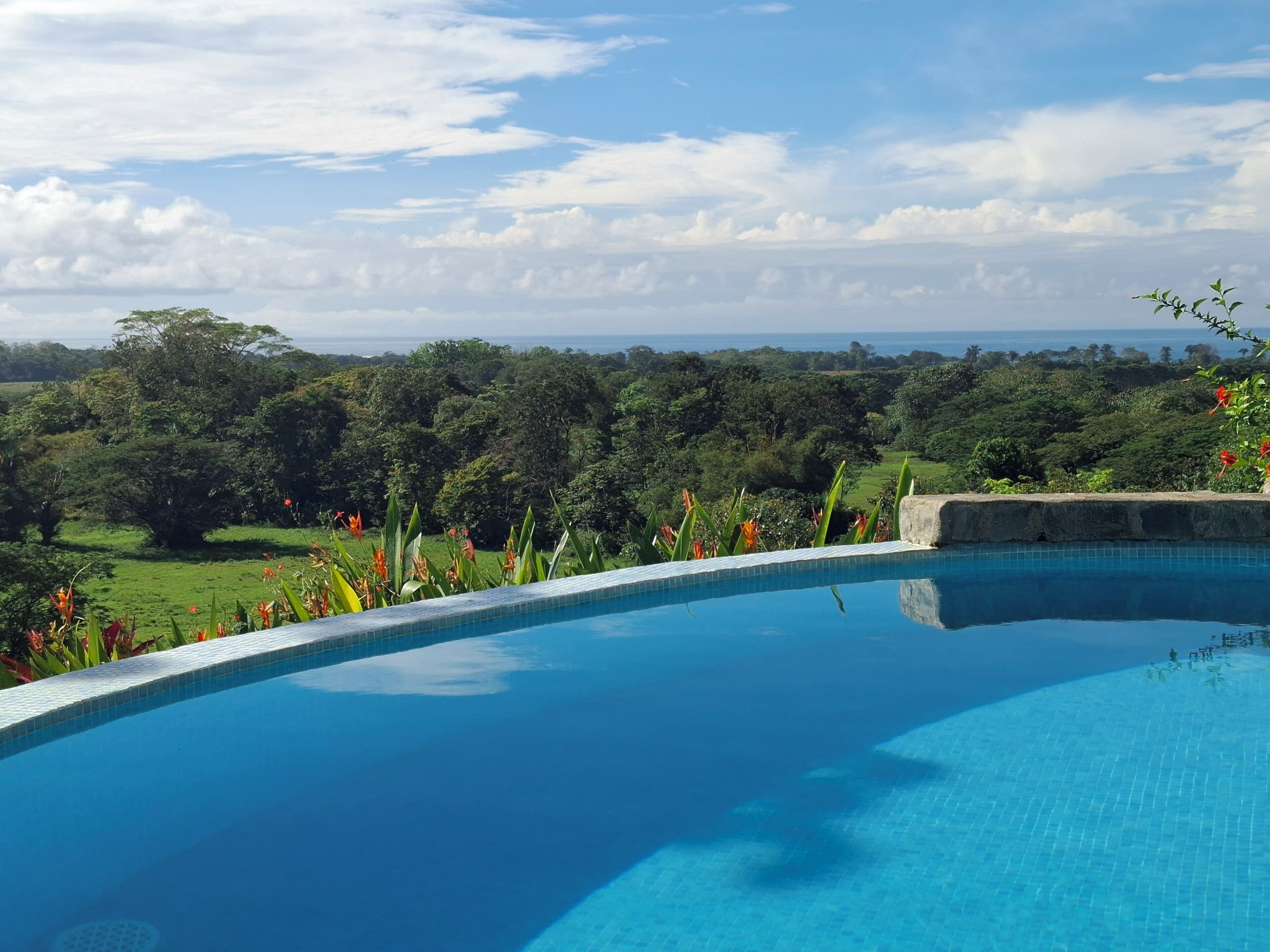 حمّام سباحة خارجي