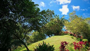 Un jardin luxuriant, avec une grande variété de plantes et d’arbres, une pente herbeuse et un ciel bleu dégagé.