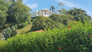 Une maison moderne entourée d’une végétation luxuriante et de plantes tropicales.