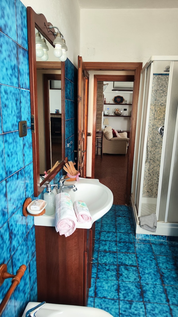 Shower, hair dryer, bidet, towels