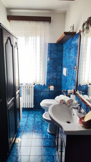 Shower, hair dryer, bidet, towels