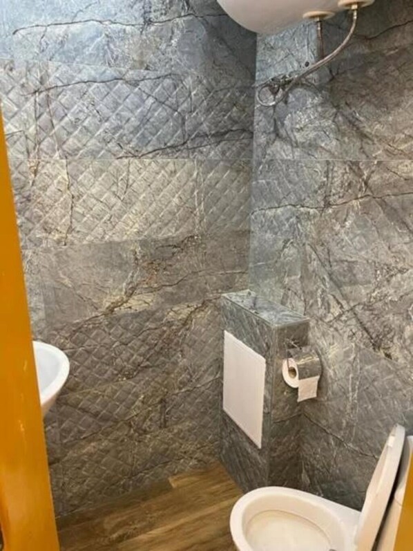 Shower, hair dryer, towels, toilet paper
