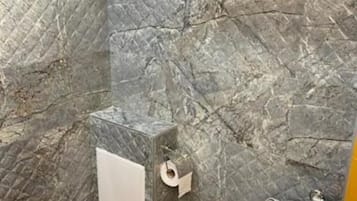 Dusche, Haartrockner, Handtücher, Toilettenpapier