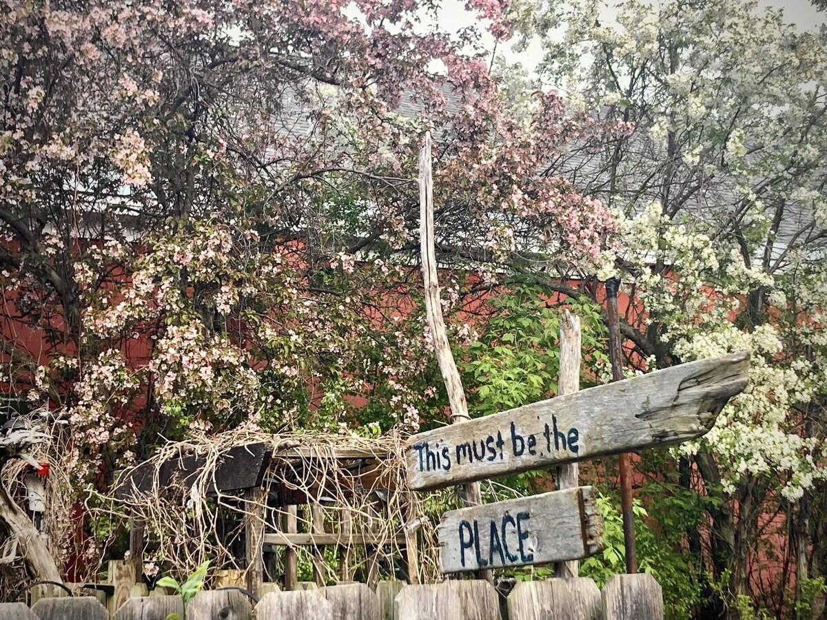 Imagen de perfil del propietario o de la propietaria