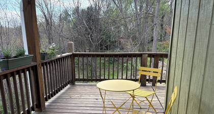 Cozy Private cottage in Asheville with WiFi, AC- minutes to fun!