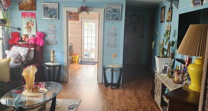 Cozy quiet house with rustic vibe. Bedroom with private bathroom for guest use